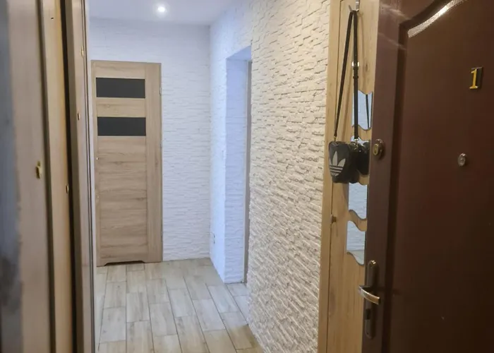 Apartament Mieszkanie Do Wynajecia Olivka