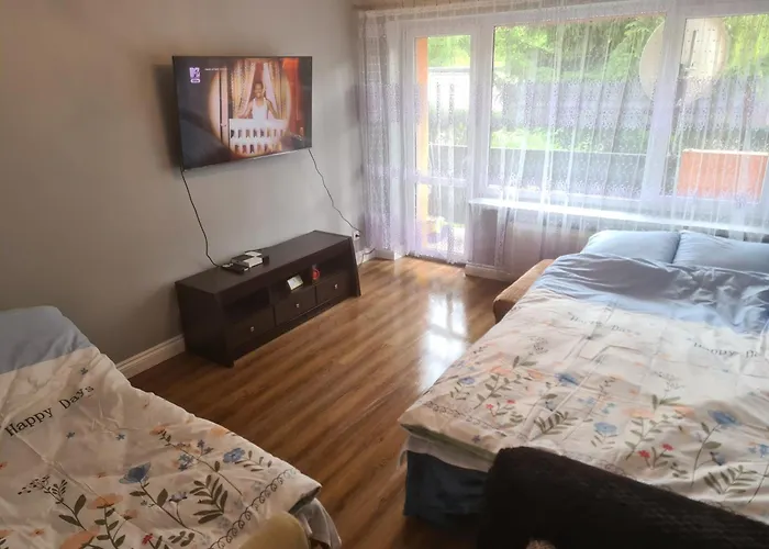 Apartament Mieszkanie Do Wynajecia Olivka